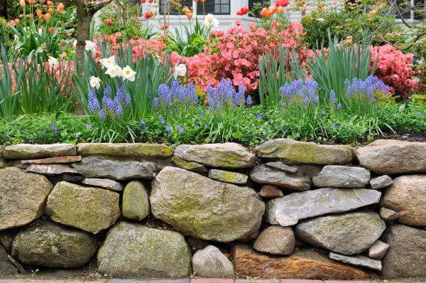 Stone Wall Hardscaping in Longwood