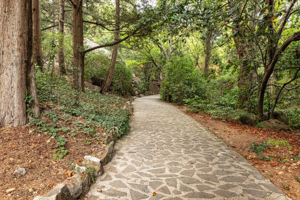 Stone Footpath Repair