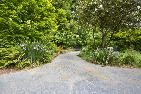 Stone Hardscape Service in Longwood